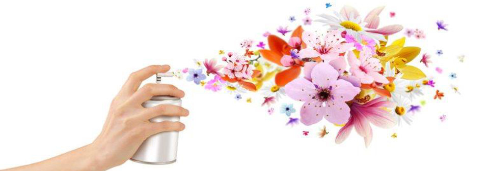 Purifiez l’air de votre maison